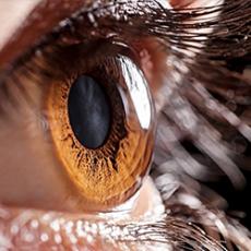 Macro close up of a brown human eye