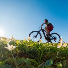 older individual riding a bike actively in the Spring time
